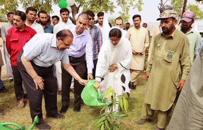 Karachi community leaders planting and watering a young tree