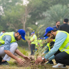 Volunteers planting native greenery together